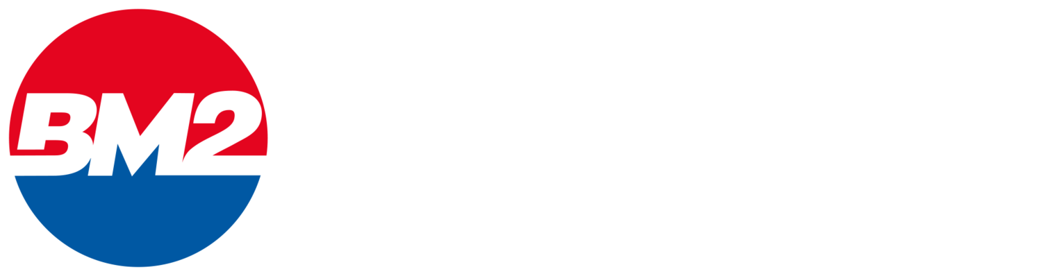 BIEMMEDUE Current Logo