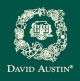 David Austin Current Logo