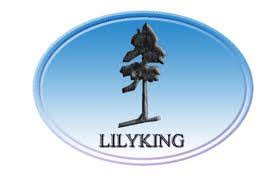 LILYKING Current Logo