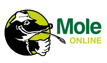 	Mole Valley (HO) Logo