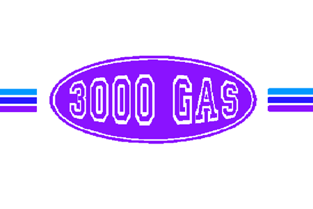 	3000 Gas Ltd Logo