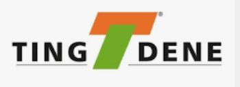 TINGDENE Current Logo