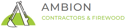 AMBION