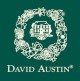 David Austin