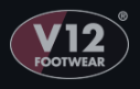 V12 logo